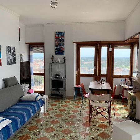 Little House Apartment Nettuno Bagian luar foto